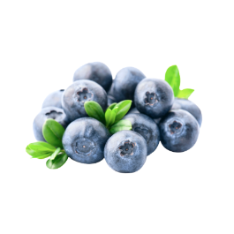 Blaubeeren