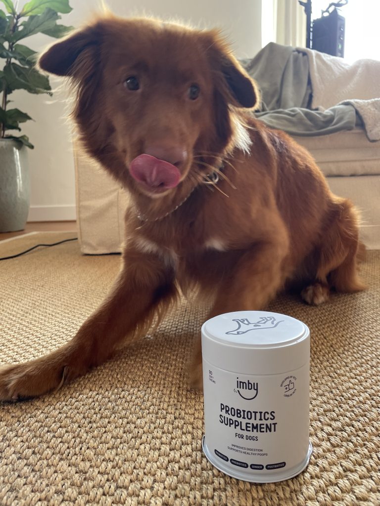 Probiotica voor honden aanbevolen door dierenartsen