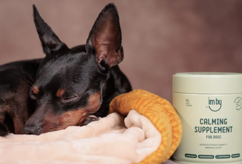 Sédatif pour chien