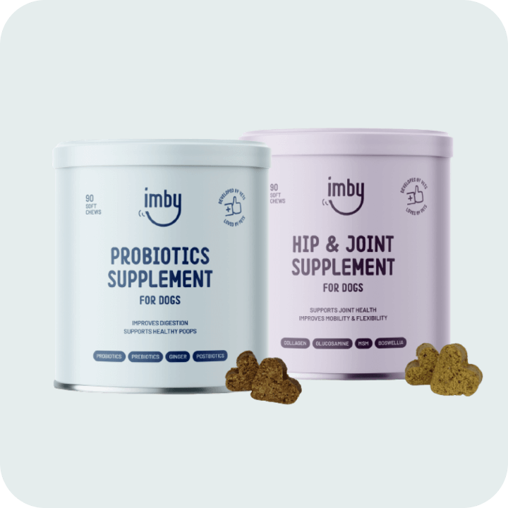 dog-supplement